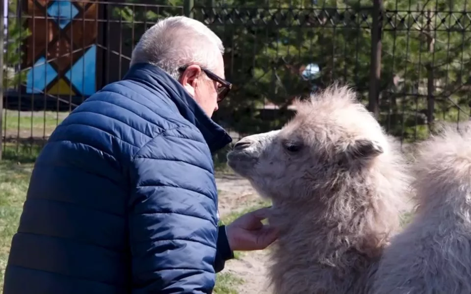 Пополнение в семье: какие животные появились на свет в барнаульском зоопарке