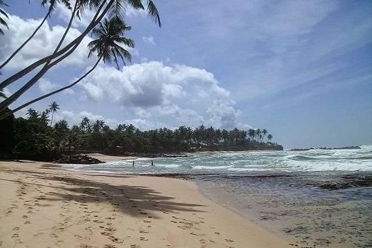 Шри-Ланка продлила выдачу бесплатных виз российским туристам