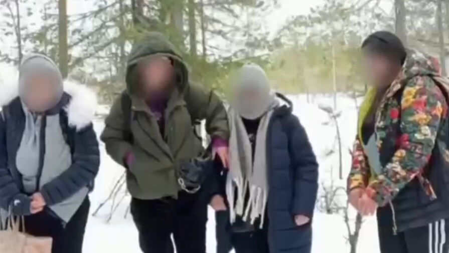 В Карелии поймали четырех иностранцев, пытавшихся перейти границу с Финляндией
