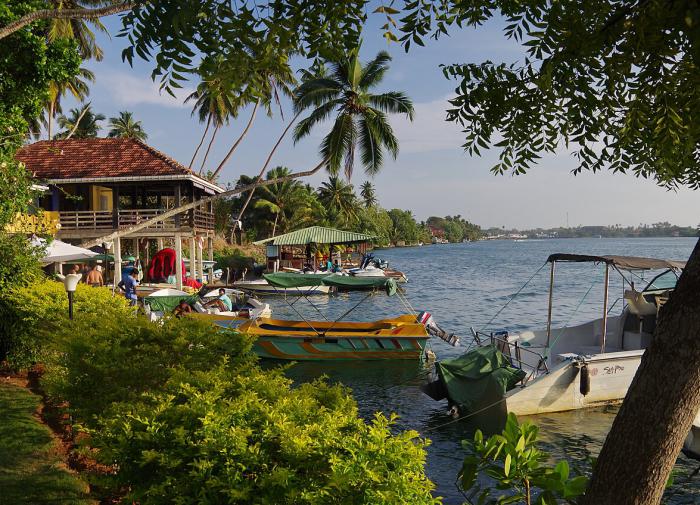 Российские туристы сталкиваются с ворами на отдыхе в Шри-Ланке